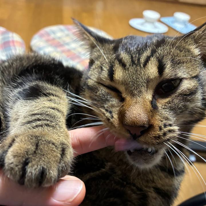 4c05af04 afe5 4d5d 945d 8d4bcb6f8e05 1761212876451