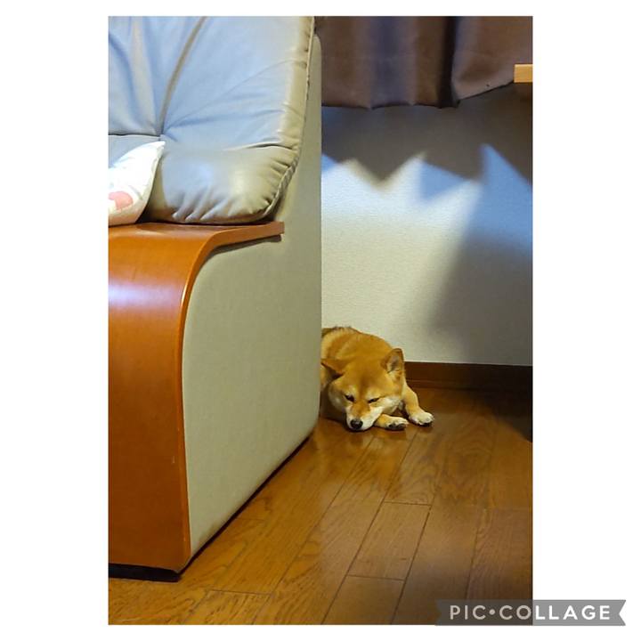 4c060d46 695b 4f74 88fb ae9374a05803 1687258415542