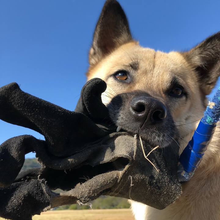 4c062bfa 66bd 45a6 bcd1 0fee550c0274 1545626482977