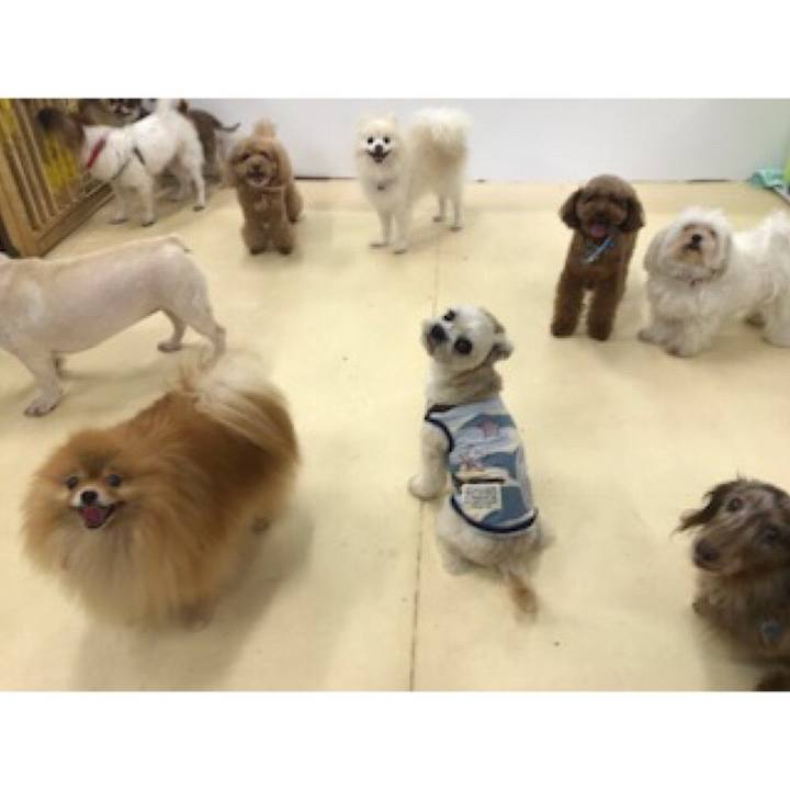 4c063831 9070 416b 8310 16fc1e47832d 1535106659890