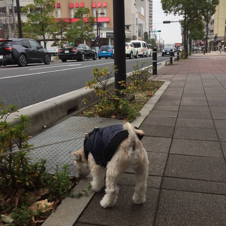 4c063b20 6227 484b 8a84 b829e794ca36 1545479967743