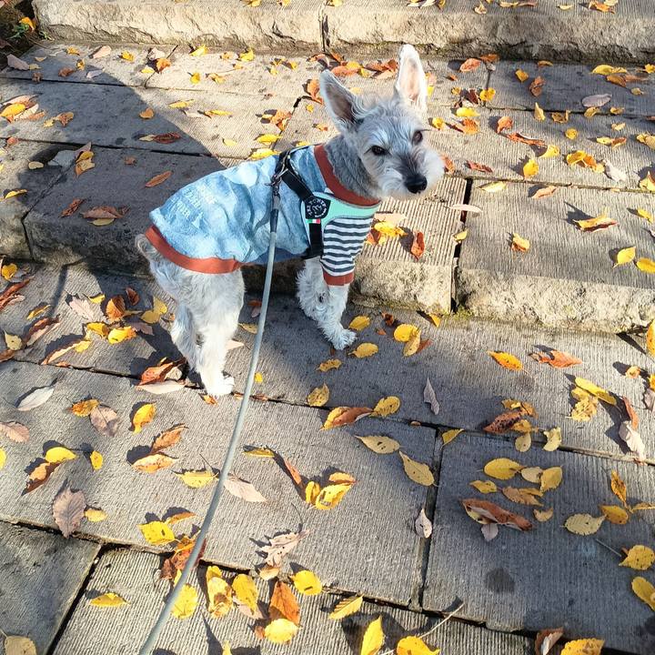 4c0641be e603 40f3 b282 70bb08c0309c 1764329721546