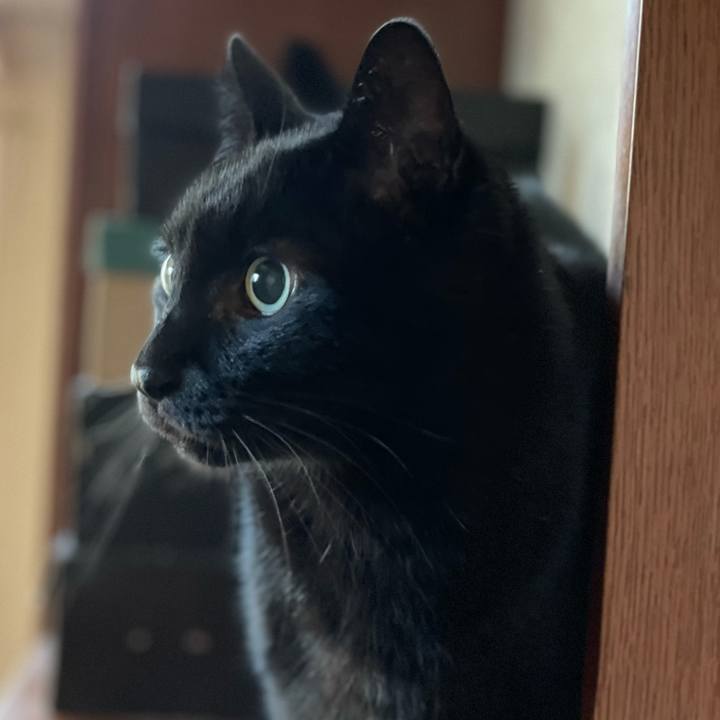 4c06620f 6e15 49bc b1a5 b9e0deb07fa5 1607131758109