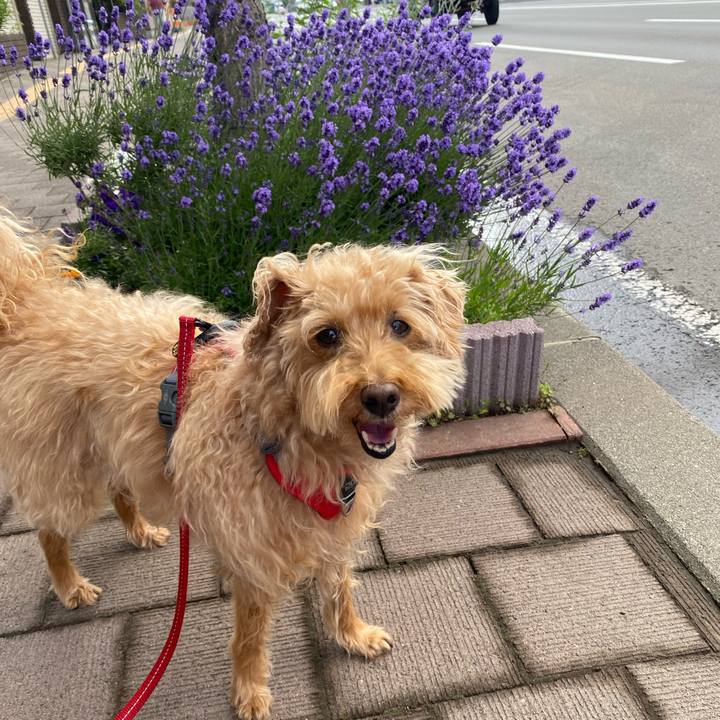 4c0684c0 c4be 4cbb ba4f dd112215d7eb 1687903372686