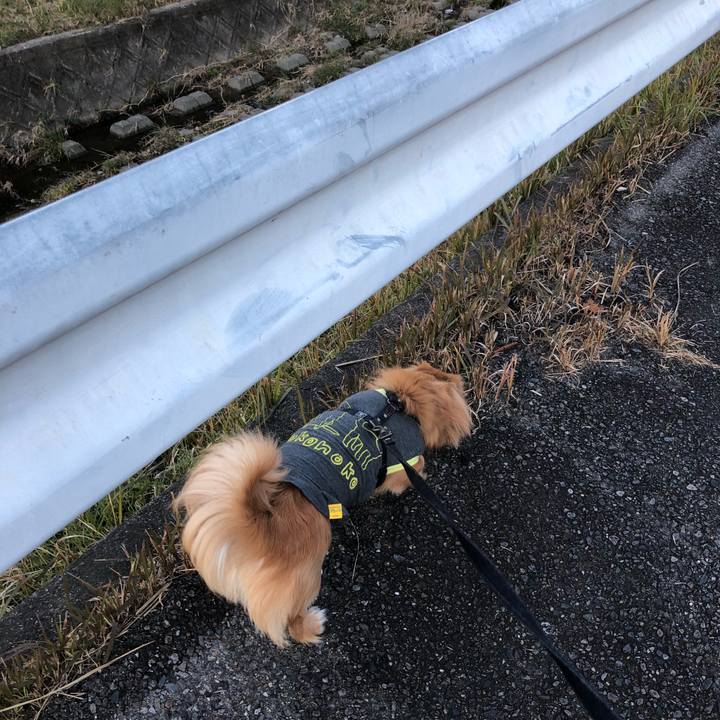 4c068fb6 758c 4cbc 810f 733d3665c2ef 1512940996567