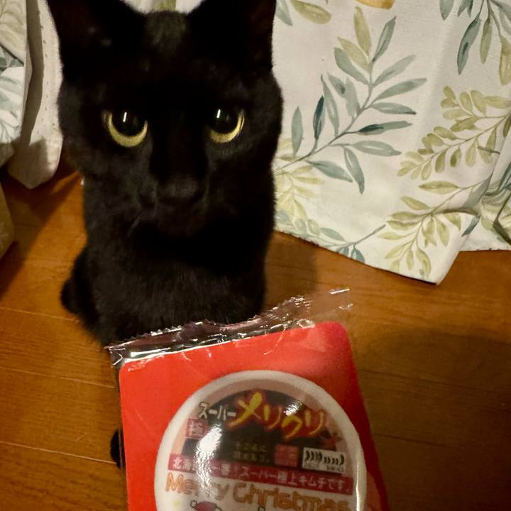 4c069563 85d7 4388 8e1b 796c2e4595ac 1766488652173