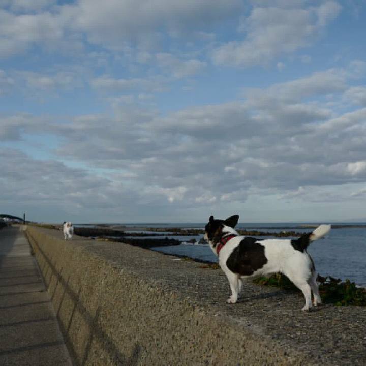 4c06bda3 fb27 4f26 a7c8 04bf89fedb34 1539402831696