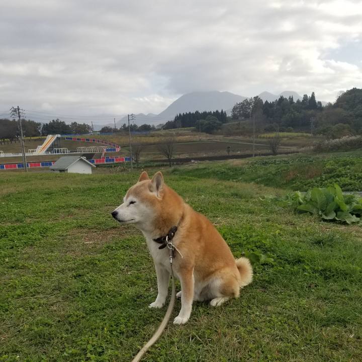 4c06c225 3ccc 4952 9e1a 630f9b6998a4 1699335693282