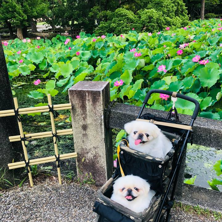 4c06e1f5 5934 4700 84c5 facde5920160 1626308428032