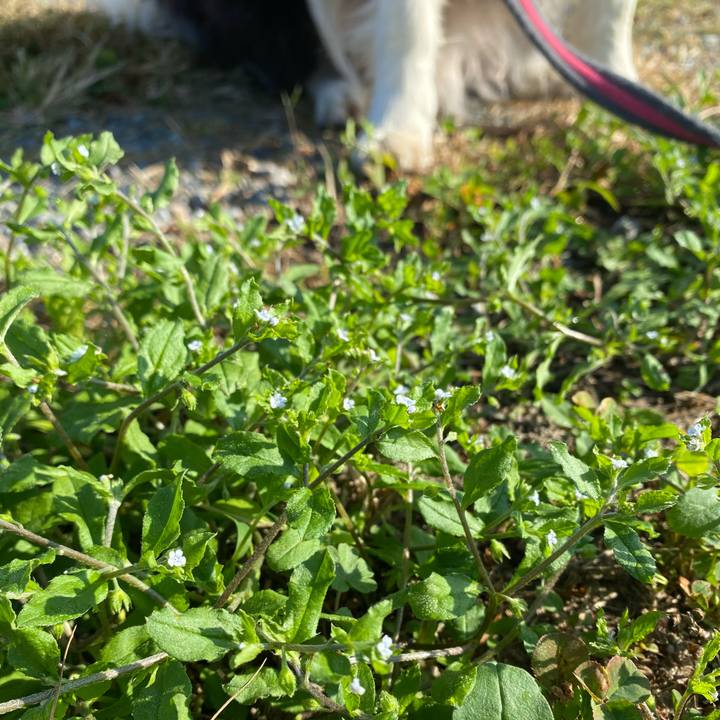 4c06ed29 aec9 4775 a2ac f88927569826 1603153967167