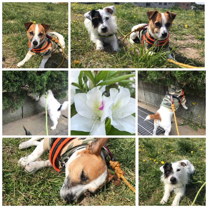 4c06efc7 317b 40f5 80df 050cf857ca64 1523580568625