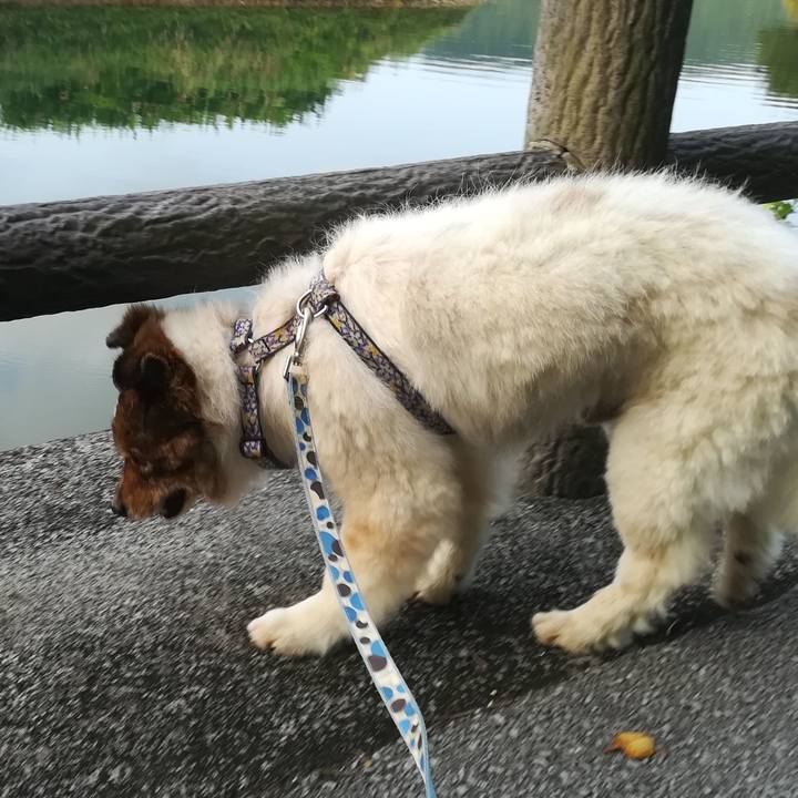 4c07091a 8ca4 4c53 b4d7 3cd1faef59d4 1617536493414