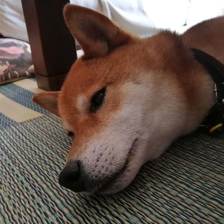 4c072c01 240d 44bc 9eff d2aa2bc9d8c5 1591757675315