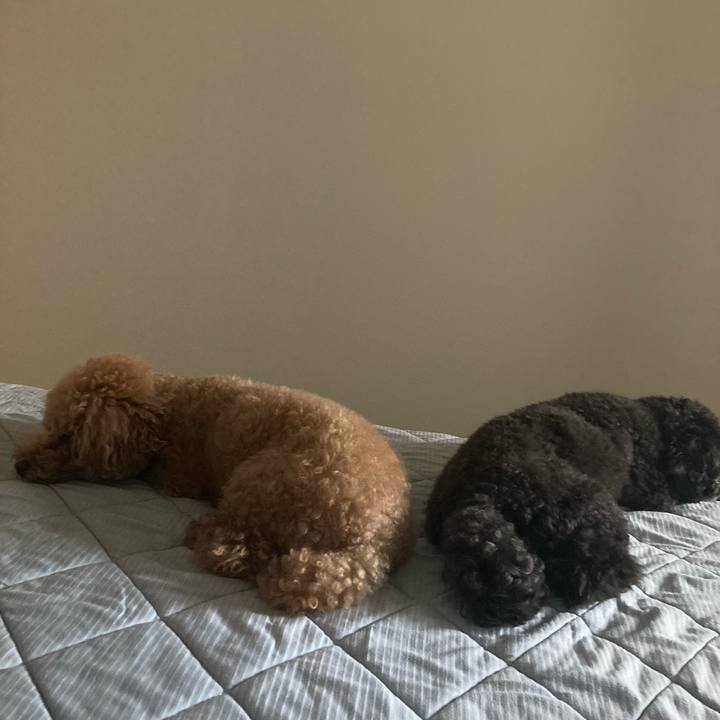 4c07570c 3139 4f66 9a88 f17af48528e0 1691722781863