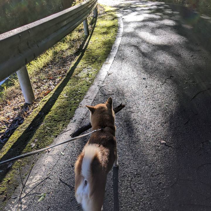 4c075982 eb15 45e1 9efc a671bec86d04 1602374831741