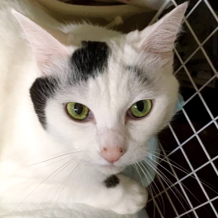 4c076d64 ff6d 4c34 9164 9bc646b2bad3 1571998300297