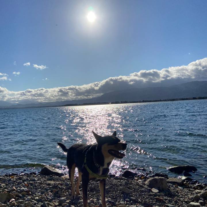 4c076df4 c661 46f6 af0a 31e5b674441a 1633519644991