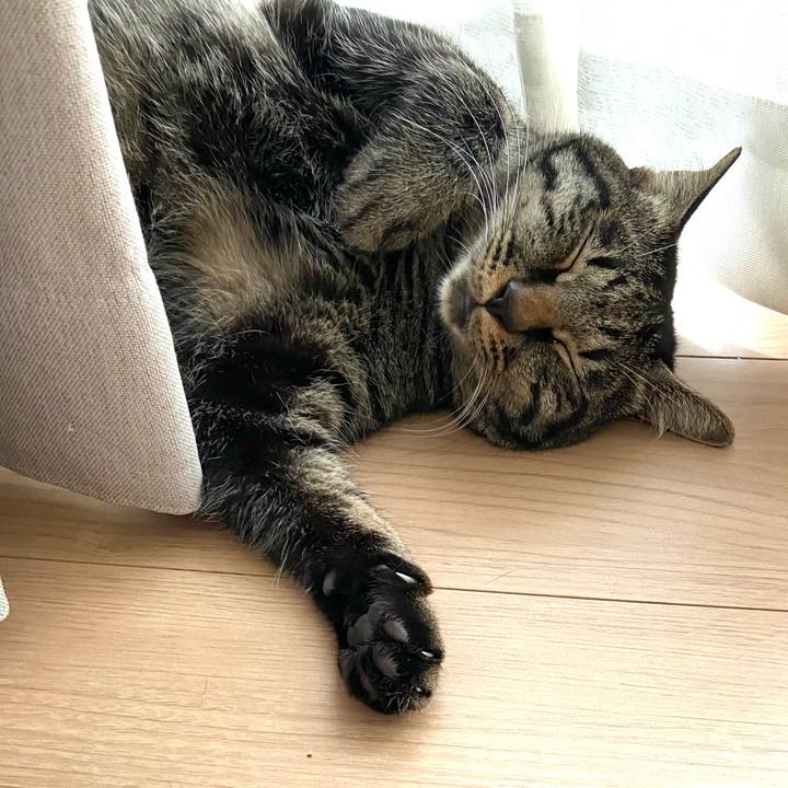 4c078dcd e247 4b7b bf2d f8263f5f3e6c 1659268614205