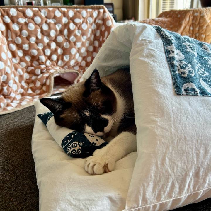 4c0859f0 c05b 4d39 933c 67e99417c796 1740115036392