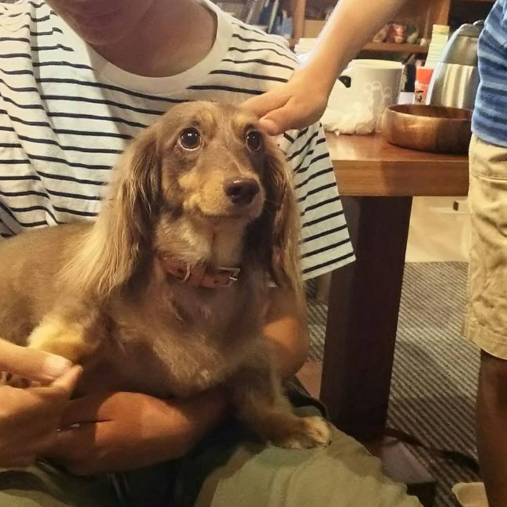 4c0875a6 ac9e 4be3 b950 fd6a1df74890 1534042370506