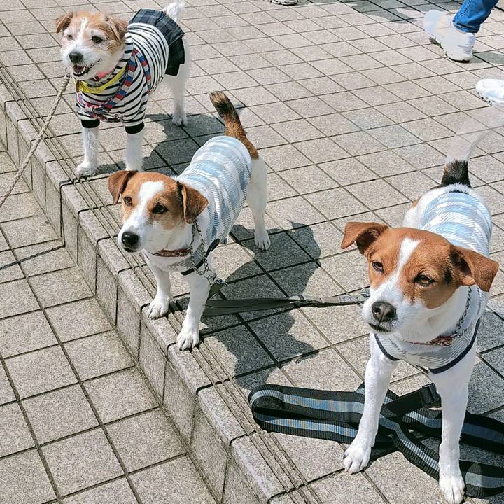 4c0879bc c1dd 4e78 bc02 5ce7252cf78e 1774083367426