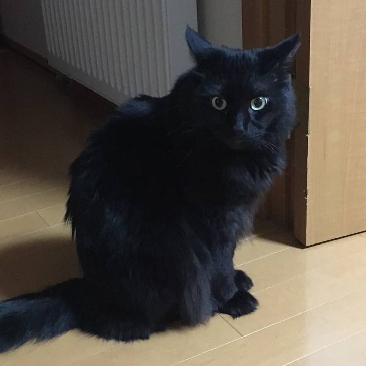 4c088bcf bf8f 4b65 843f 03c4daf19e32 1522503275280