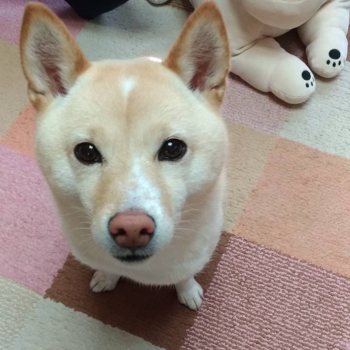 4c08b2c2 a268 4cbe 94ba 8caa5fda4ce7 1582843327988