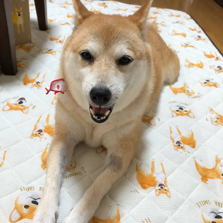 4c090c25 554a 4ab2 8490 1c45fb91d734 1563366547207