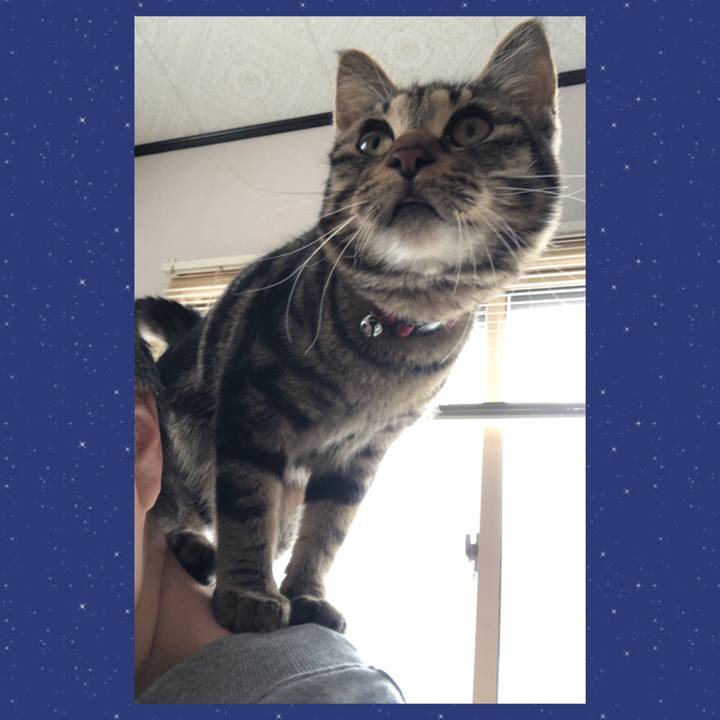 4c092edb 142a 4e5f 8567 8f0e94ab9223 1741994875647