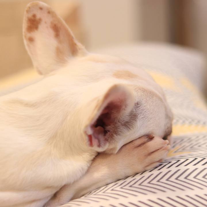 4c094252 d7d2 4f8e a54d 07a3e76c423f 1509702253810