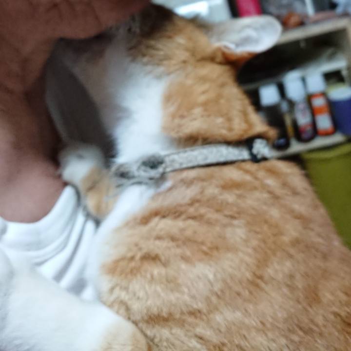 4c0948aa d53b 49af bc06 7451f98fdee5 1596497184981