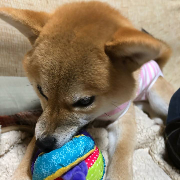 4c0998cd 6aad 4ee8 a321 b23e57eefb01 1667447868583