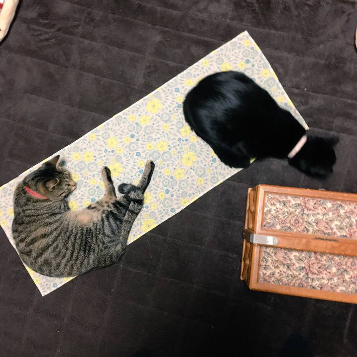 4c09adcc 17d7 4fbc befe a391e30c6348 1509024741869