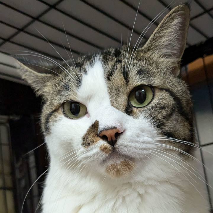 4c09c8d1 615e 4d8f 99fa 5d0284324bba 1724073126016