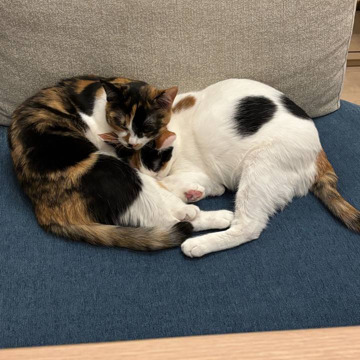 4c09d002 f6fd 46b3 b5ea f8ab08d881ce 1772291154878