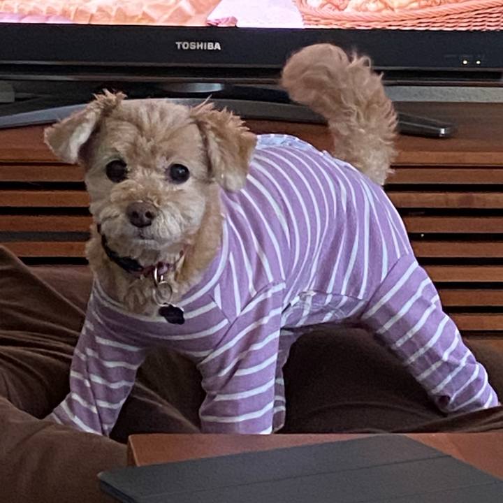 4c09e2b6 25f7 4f13 8648 29b1d4eeaeab 1632879355738