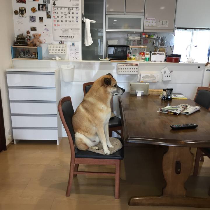 4c0a4562 2336 4ac7 8f3f 780638bc05ba 1524438302472