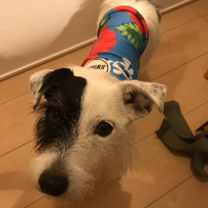 4c0a5083 359a 4376 a1c4 47f305759599 1531650247083