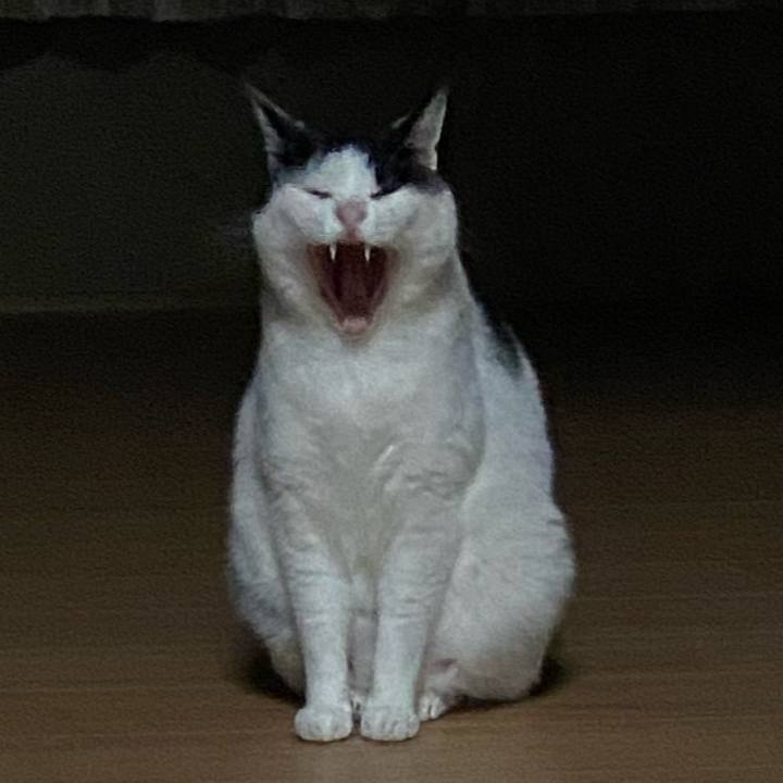 4c0a6e9f 9c44 4c4c a807 0862e9b0108e 1589980972467