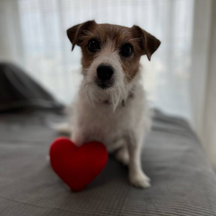 4c0a8d6f 251a 4ad5 a5f7 555323c0535f 1698457138919