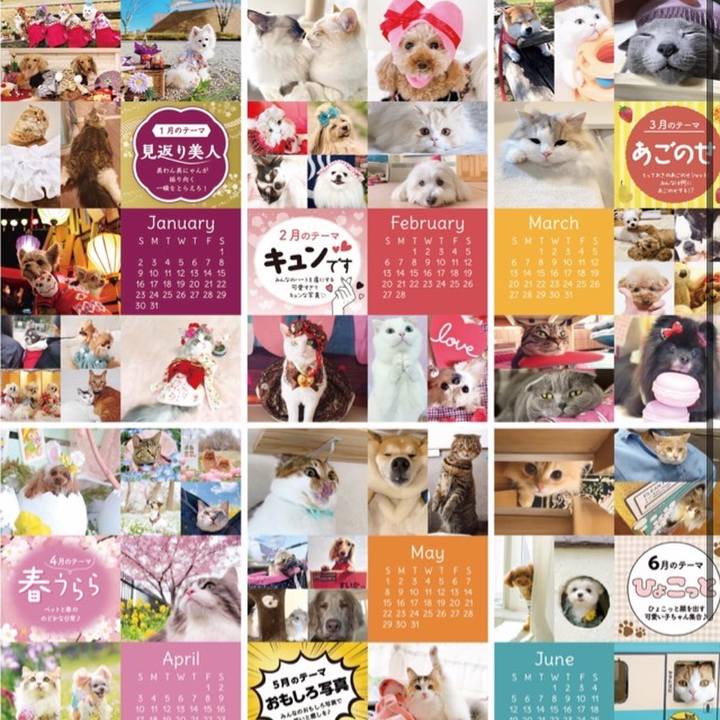 4c0a8e19 107d 4d45 ad43 a9ca91f414a8 1641256033405