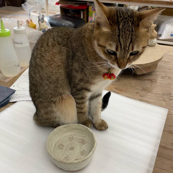 4c0aabba f9ae 4aeb aa20 34b3e088b589 1671182405994