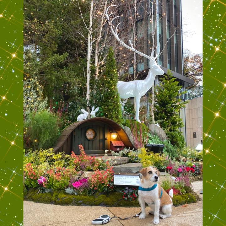 4c0ad293 d7f6 4e77 9f9f 440251049c28 1669550816724