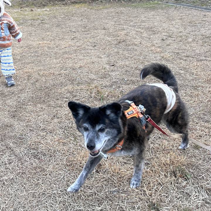 4c0ae5d7 d025 494b bd13 3b81374994b0 1770349494643