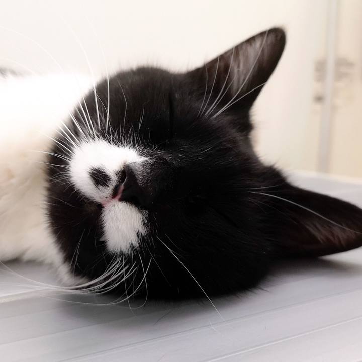 4c0b1cf0 73ad 4daf 85a8 83b64a1ee6cf 1558010600468