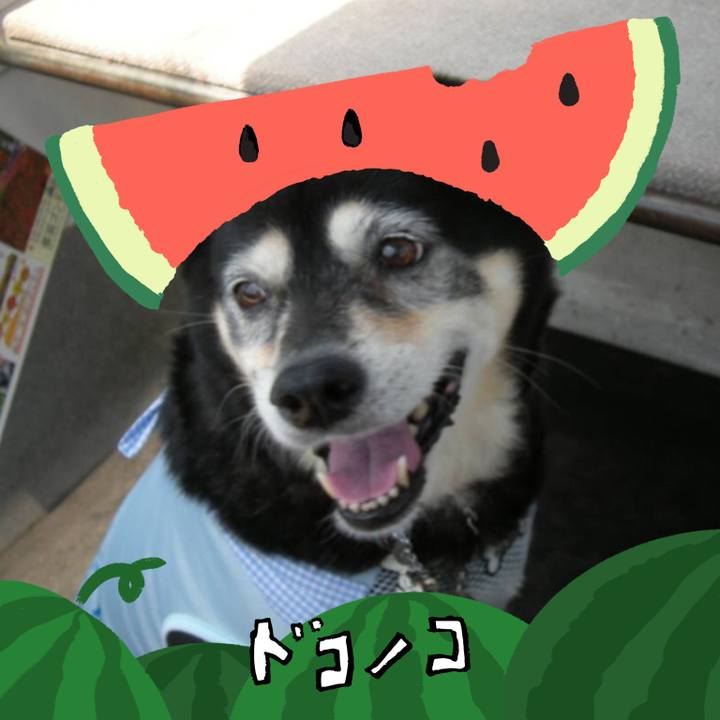 4c0b3ec8 fff7 476b 9fdd d42e83733a35 1720914797223