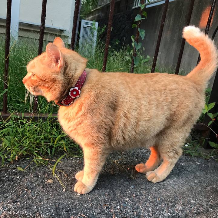 4c0b89a9 1a5a 416b b551 de501417b5ae 1537270209607