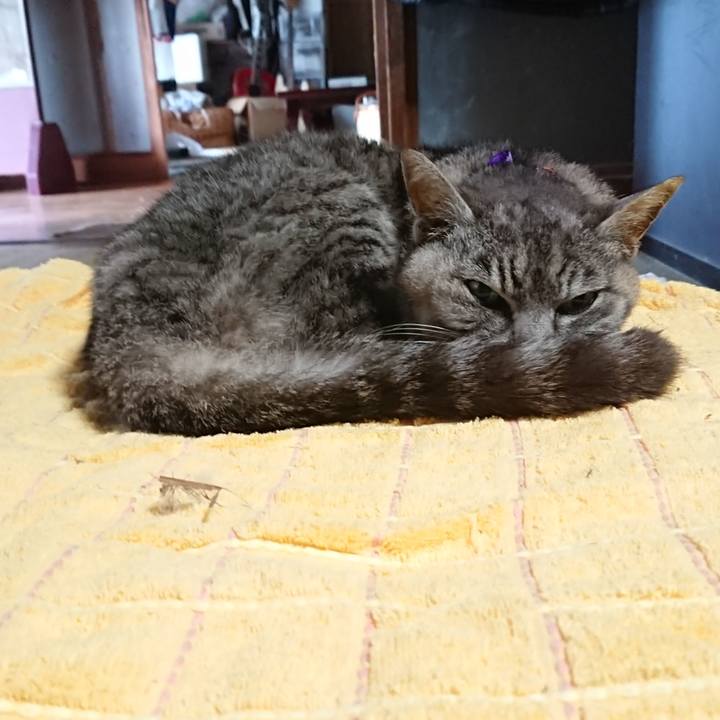 4c0b8f05 9985 4840 a395 e7449513e8bf 1594331994439