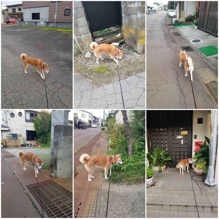 4c0b9ea6 ae74 4b98 98a2 62c2140863f7 1759477889205