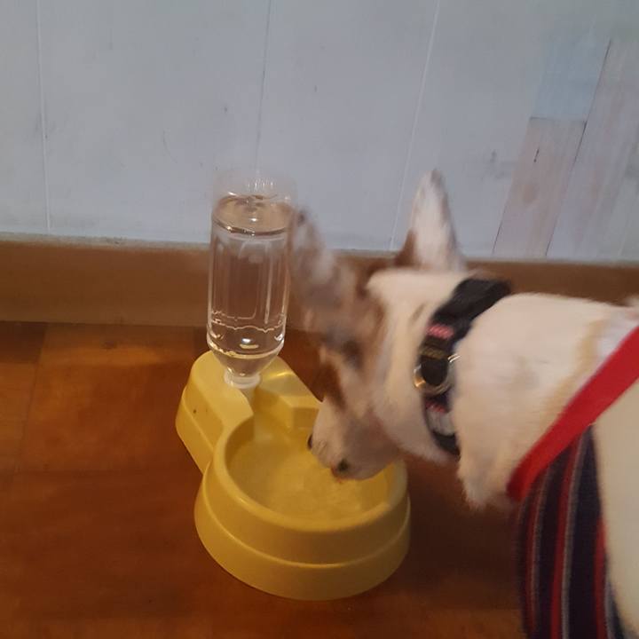 4c0bcb82 19b9 4dc9 9c92 baf79364866b 1548892215876